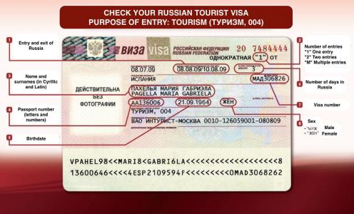 Check-Russian-visa-data